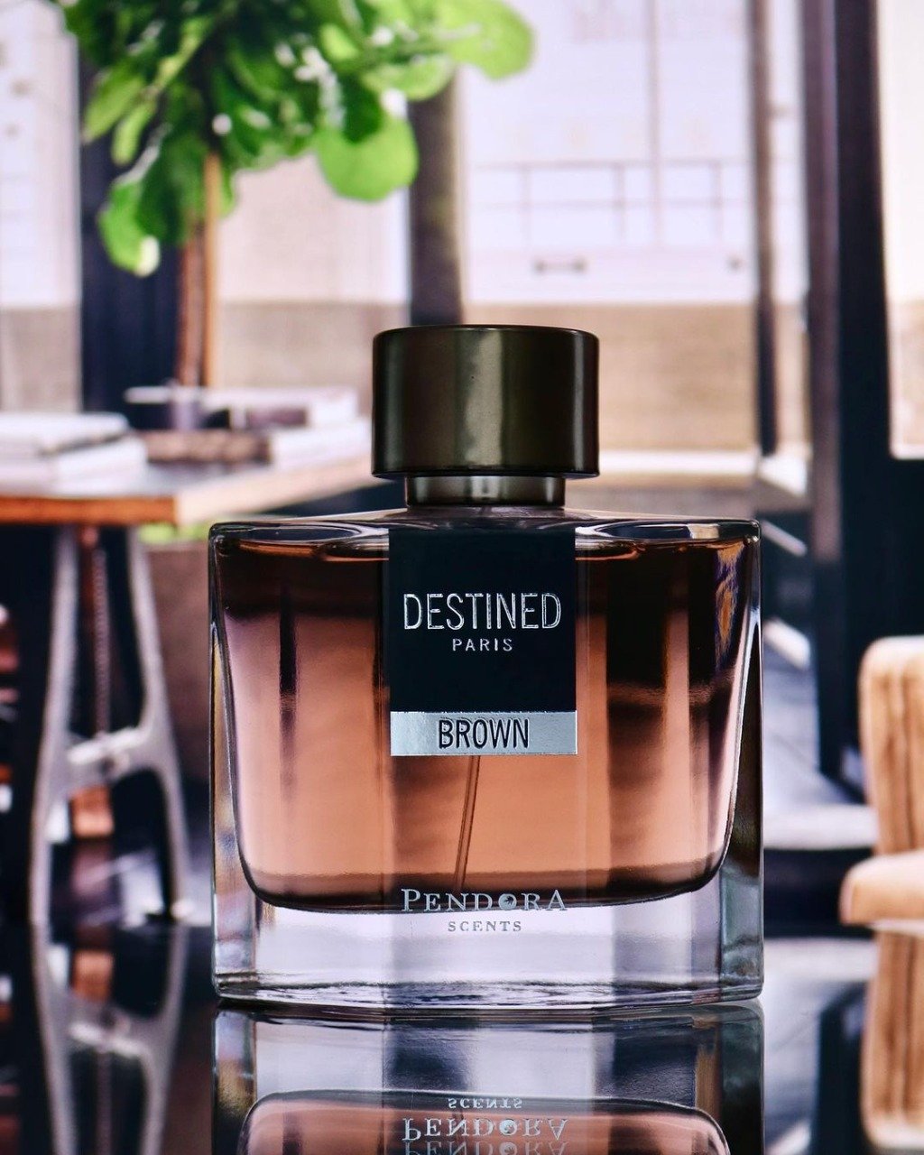 DESTINED BROWN PENDORA - sweet fragrance for Men